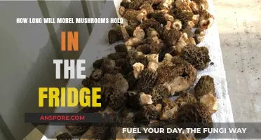 Storing Morel Mushrooms: Fridge Lifespan and Freshness Tips