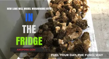 Storing Morel Mushrooms: Fridge Lifespan and Freshness Tips