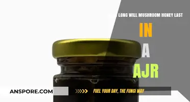 Mushroom Honey Shelf Life: How Long Does It Last in a Jar?