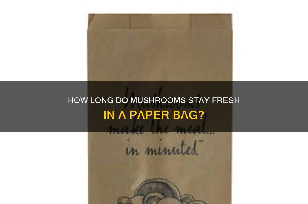 how long will mushroom last in the paperbag