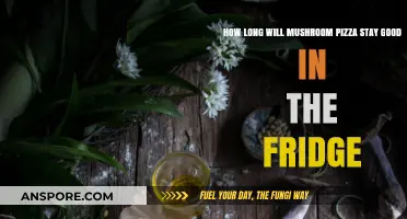 Mushroom Pizza Storage: Fridge Lifespan and Freshness Tips