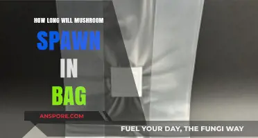 How Long Does Mushroom Spawn Last in a Grow Bag?