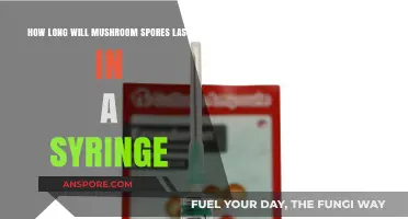 Mushroom Spores in Syringes: Shelf Life and Storage Tips