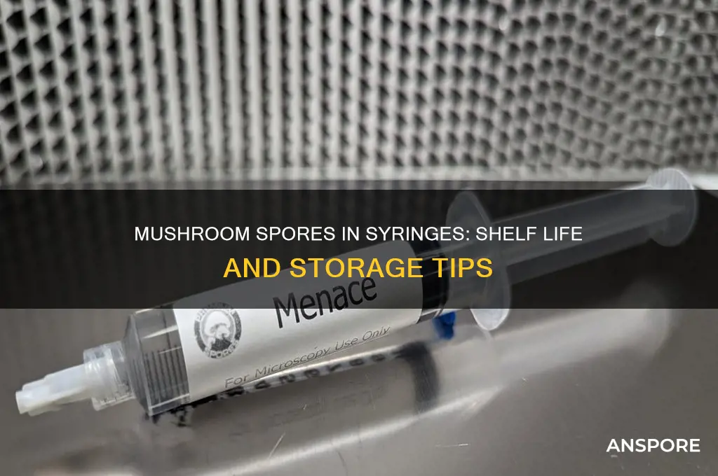 how long will mushroom spores last in a syringe