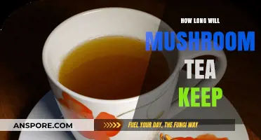 Shelf Life of Mushroom Tea: Storage Tips for Freshness