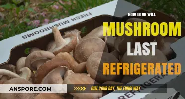 Refrigerated Mushrooms: Maximizing Freshness and Shelf Life Tips