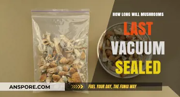 Vacuum Sealed Mushrooms: Shelf Life and Storage Tips Explained