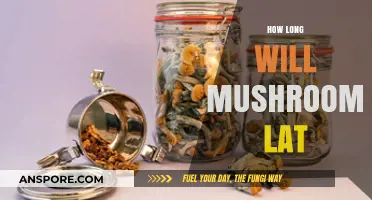 Shelf Life Secrets: How Long Do Mushrooms Last Fresh?