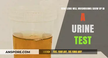 Detecting Mushrooms in Urine Tests: Duration and Factors Explained