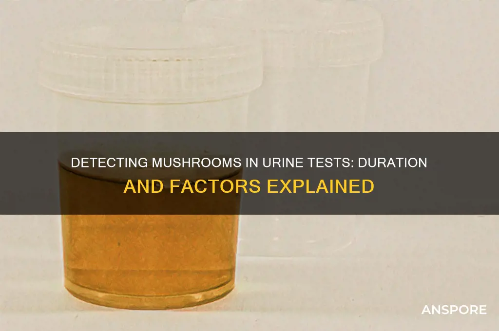 how long will mushrooms show up in a urine test