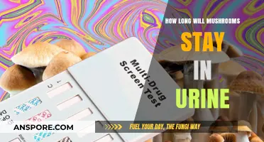 Detecting Mushrooms in Urine: Duration and Factors Affecting Presence