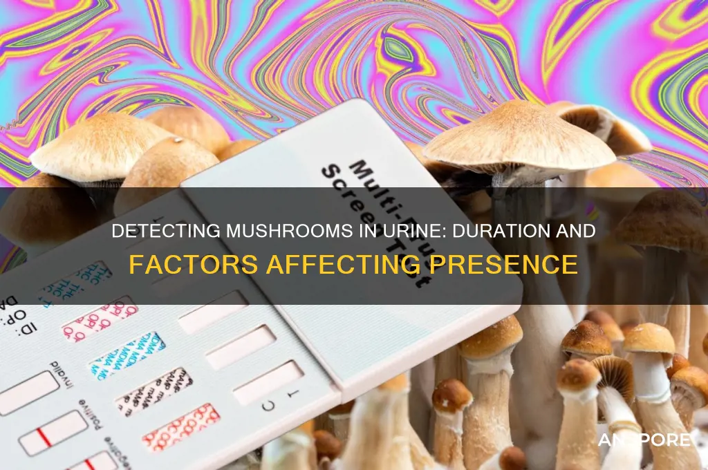 how long will mushrooms stay in urine