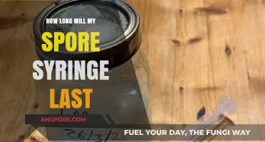 Maximizing Your Spore Syringe Shelf Life: Storage Tips and Duration