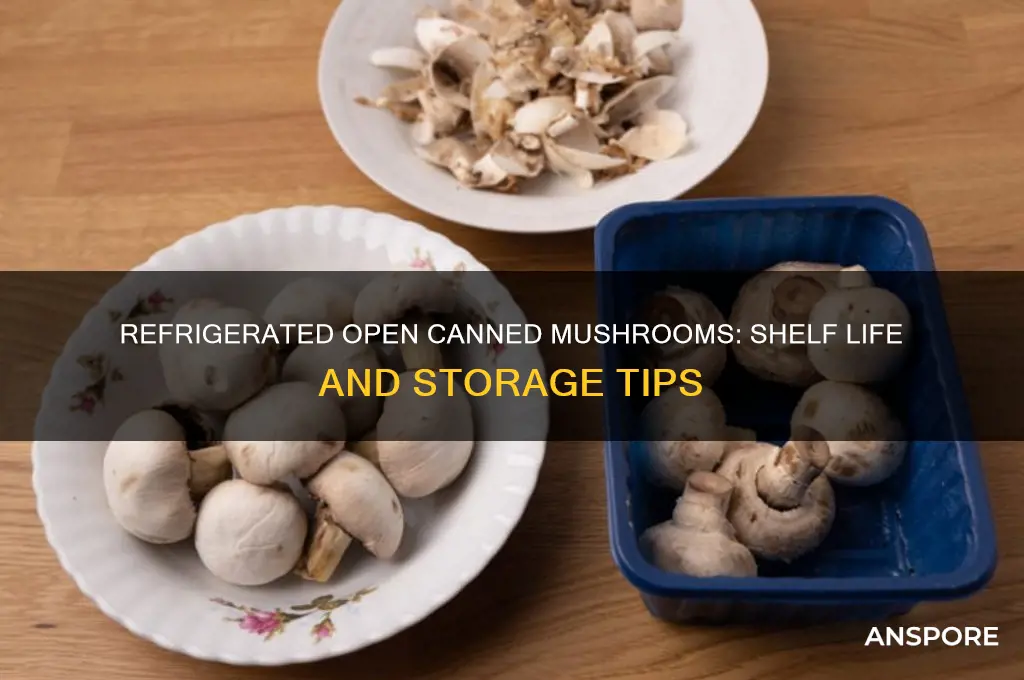 how long will open canned mushrooms last in th refrigerator