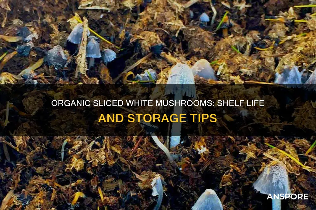 how long will organic sliced white mushrooms keep