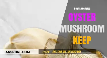 Shelf Life Secrets: How Long Do Oyster Mushrooms Stay Fresh?