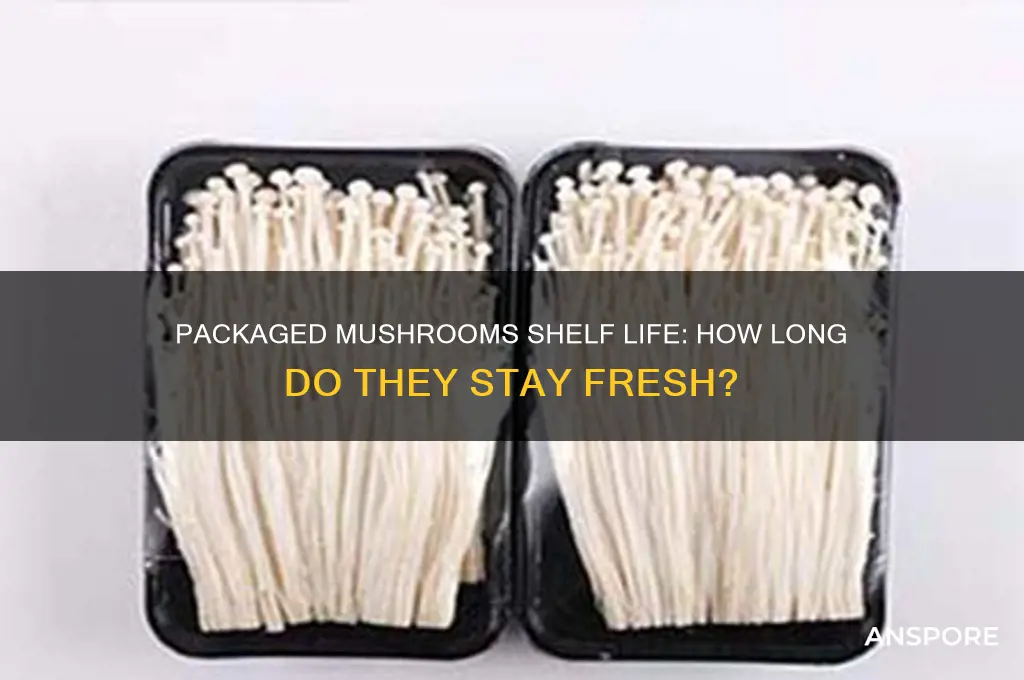 how long will packaged mushrooms keep