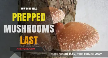 Prepped Mushrooms Shelf Life: How Long Do They Stay Fresh?