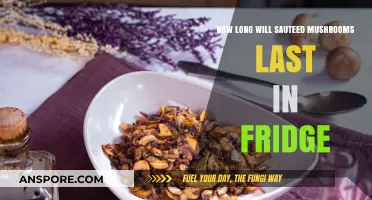 Sauteed Mushrooms Storage Guide: Fridge Lifespan and Freshness Tips