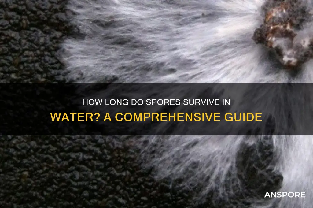 how long will spores survive in water