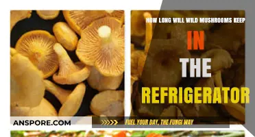 Storing Wild Mushrooms: Refrigerator Shelf Life and Freshness Tips