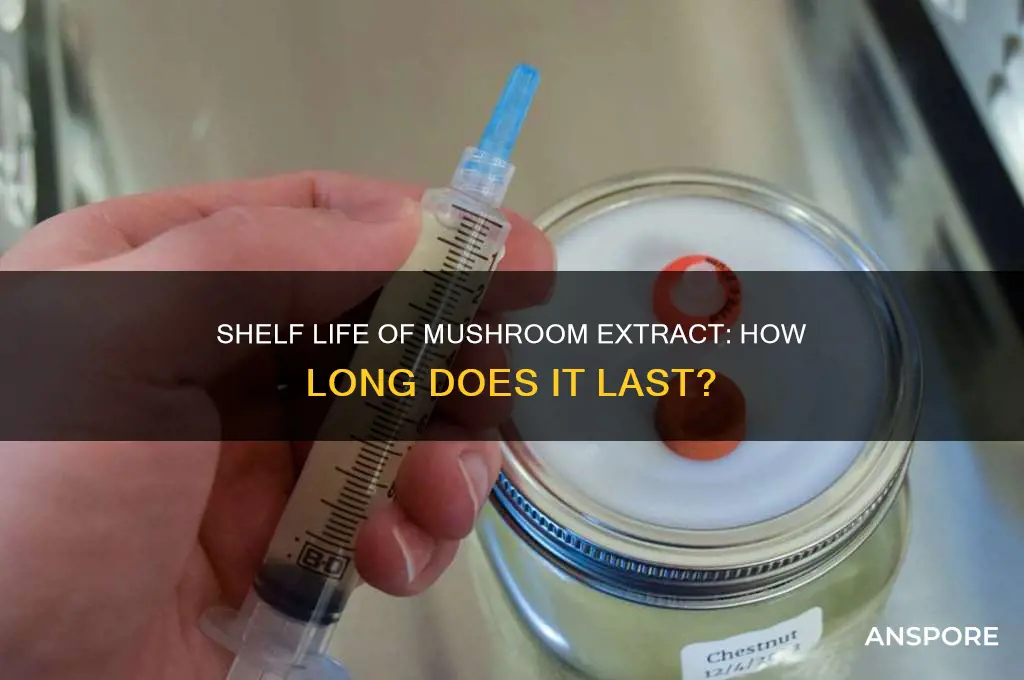 how long would a mushroom extract last