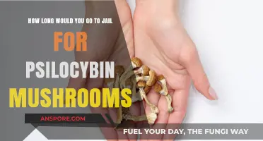 Psilocybin Possession Penalties: Potential Jail Time for Mushroom Offenses