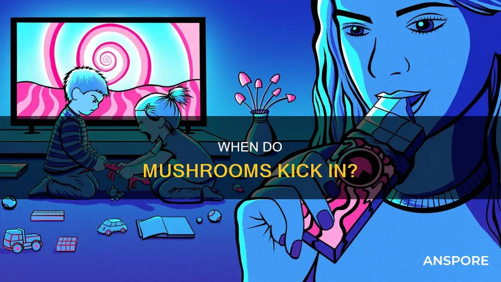 how longfor mushrooms tokick in
