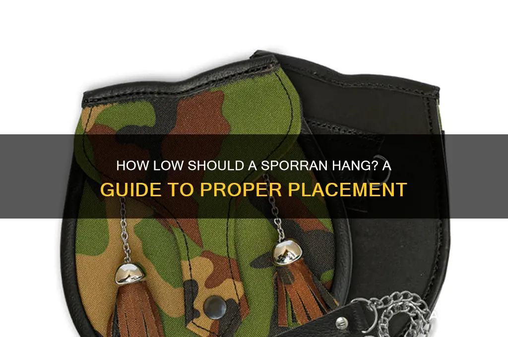 how low should a sporan be