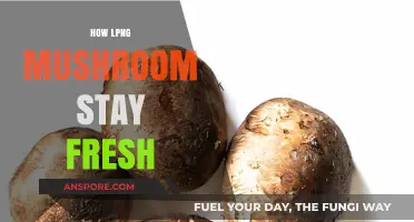 Keep Your Mushrooms Fresh: The Ultimate Guide