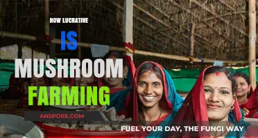 Mushroom Farming: A Profitable Venture?