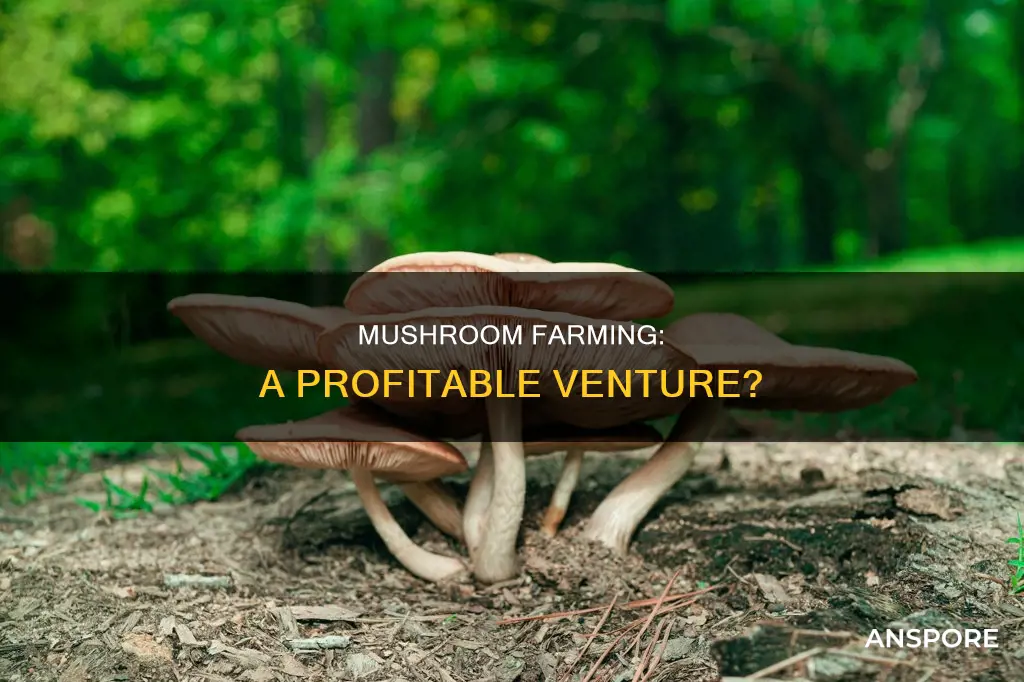 how lucrative is mushroom farming
