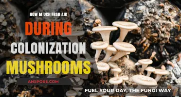 Mushroom Colonization: The Fresh Air Factor