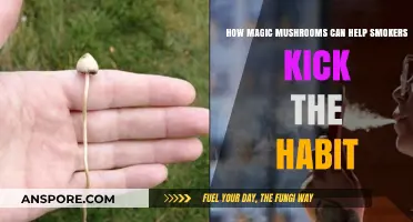 Magic Mushrooms: A Natural Aid to Quit Smoking for Good