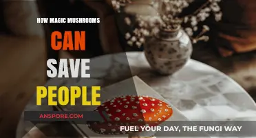 Magic Mushrooms: Unlocking Therapeutic Potential to Transform Lives and Heal Minds