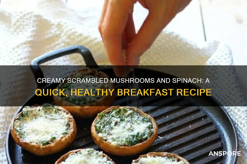 how make creamy scrambled mushrooms and spinach