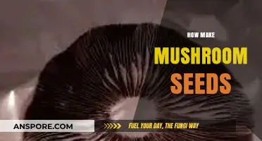 Mastering Mushroom Cultivation: A Guide to Making Mushroom Spores
