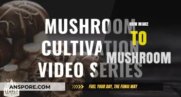 Mastering Mushroom Cultivation: A Step-by-Step Guide to Growing Your Own