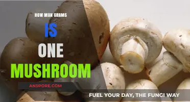 Mushroom Mystery: Grams per Shroom