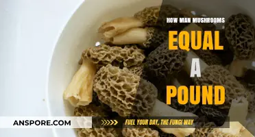 Mushroom Weight: How Many Make a Pound?