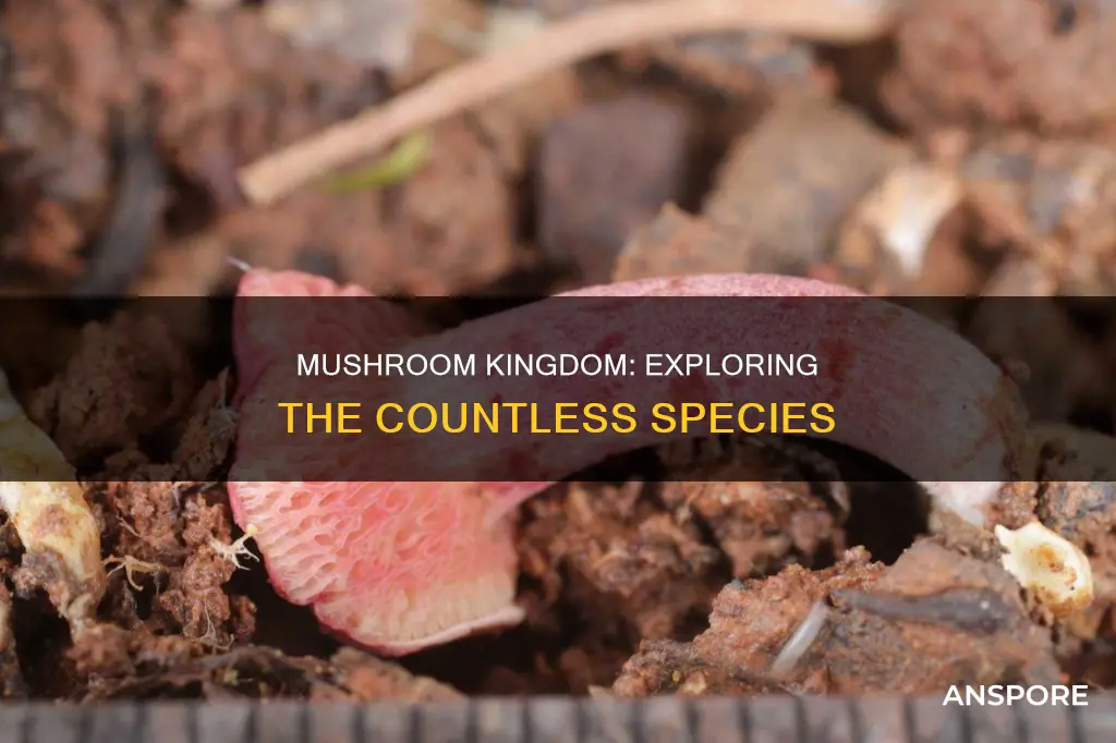 how mant species of mushrooms are there