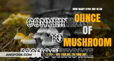 Weighing Up Your Magic Mushroom Eighths