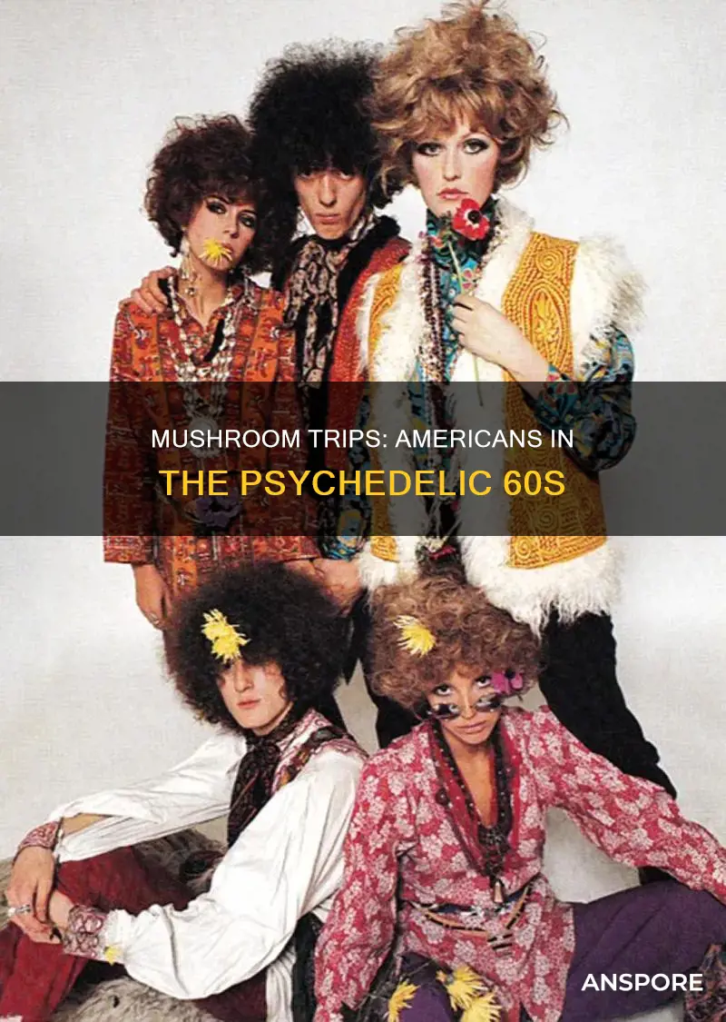 how many americans took mushrooms in the 60s