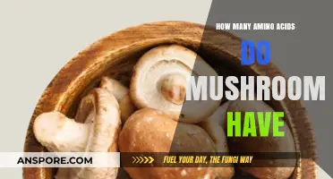 Mushrooms' Amino Acids: The Essential Count