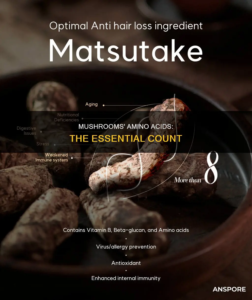 how many amino acids do mushrooms have