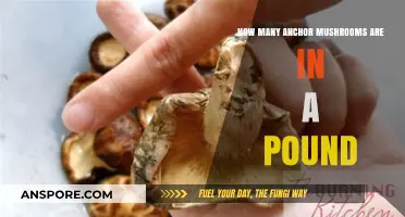 Mushroom Picking: Weighing Anchor Mushrooms