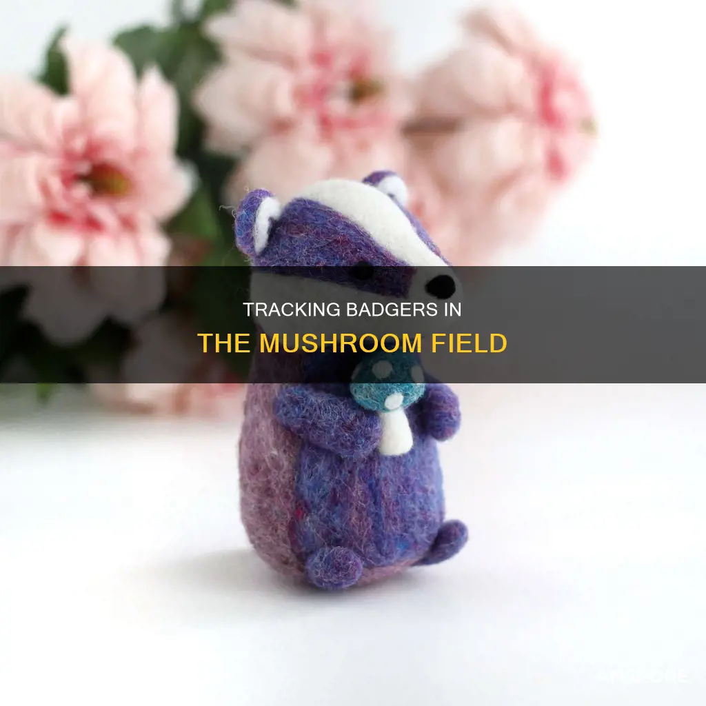 how many badger in badger mushroom