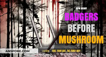 Seeking Badgers for Mushroom Foraging: A Guide