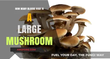 Large Mushrooms: Blocks High Measurement