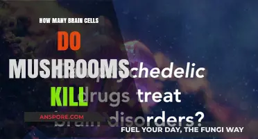 Mushrooms: Brain Cell Killers or Not?